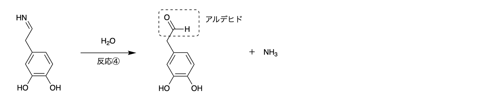 解説画像